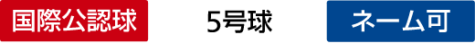 国際公認球 5号球 ネーム可